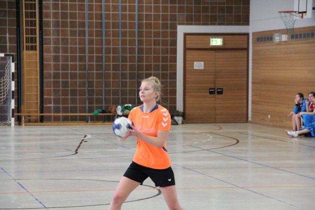 2017_01_08 Landesliga Frauen u. J19